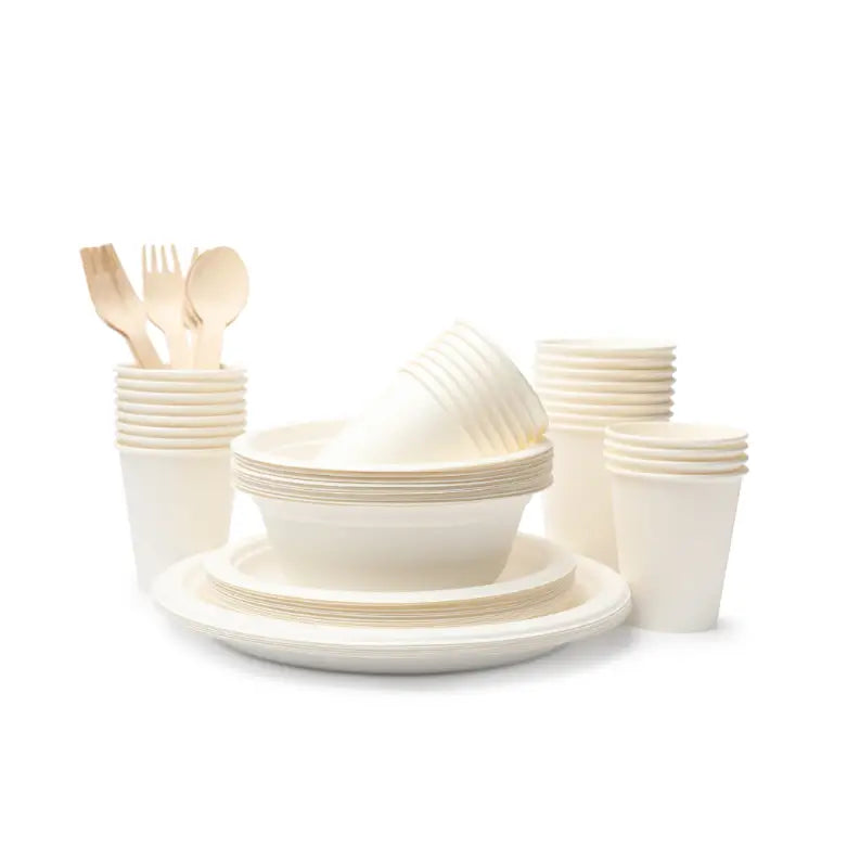 Disposable Cutlery Bulk Pack (Plastic, Wood, Bamboo)