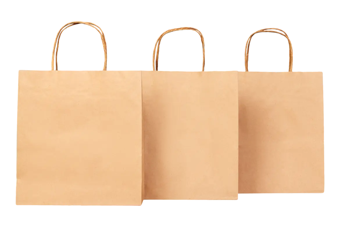 Kraft Takeout Paper Bag